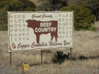 Yes, it's Cow Country
